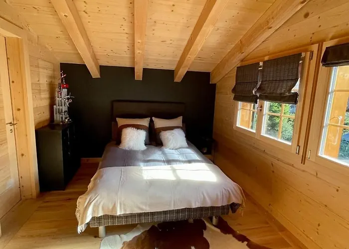 Villa Charming With Splendid Views Near Gstaad